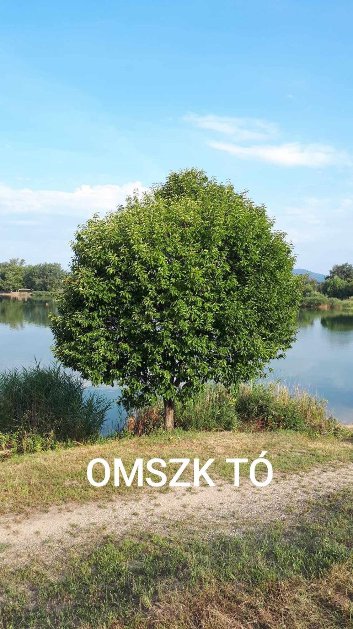 Zen Apartman Budakalasz Bagian luar foto